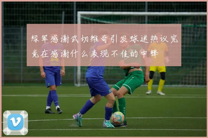 绿军感谢武切维奇引发球迷热议究竟在感谢什么表现不佳的中锋